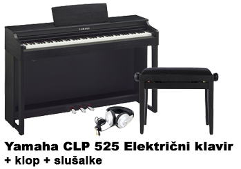 catalog/Bannerji prva/Vse za solo/clp525nova.png